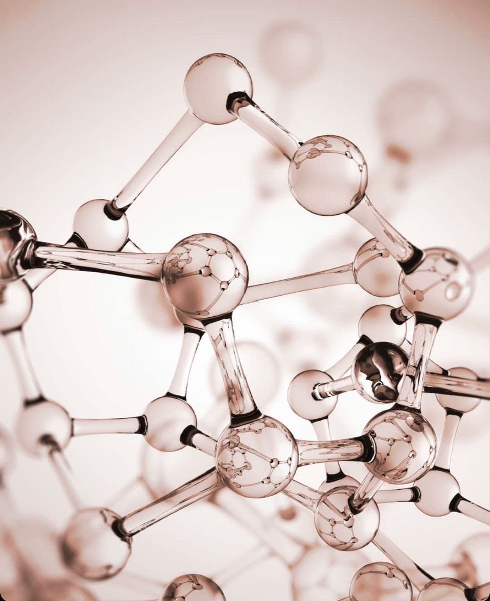 Bioestimuladores